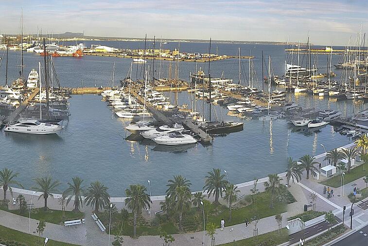 Webcam view of Palma de Mallorca marina, which caters to boats of all shapes and sizes. The cathedral La Seu can be seen in the distance. In the foreground is the Avinguda de Gabriel Roca.