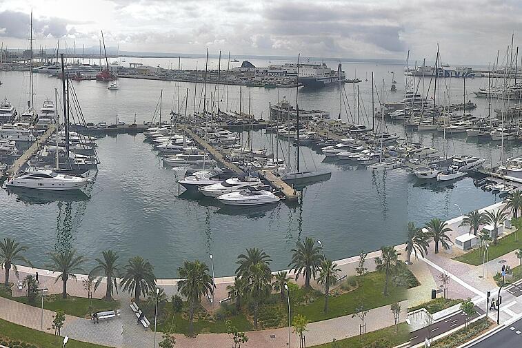 Webcam view of Palma de Mallorca marina, which caters to boats of all shapes and sizes. The cathedral La Seu can be seen in the distance. In the foreground is the Avinguda de Gabriel Roca.