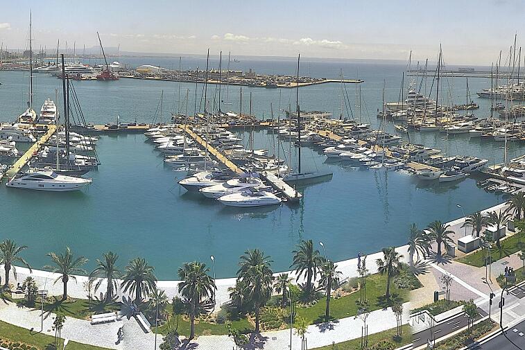 Webcam view of Palma de Mallorca marina, which caters to boats of all shapes and sizes. The cathedral La Seu can be seen in the distance. In the foreground is the Avinguda de Gabriel Roca.