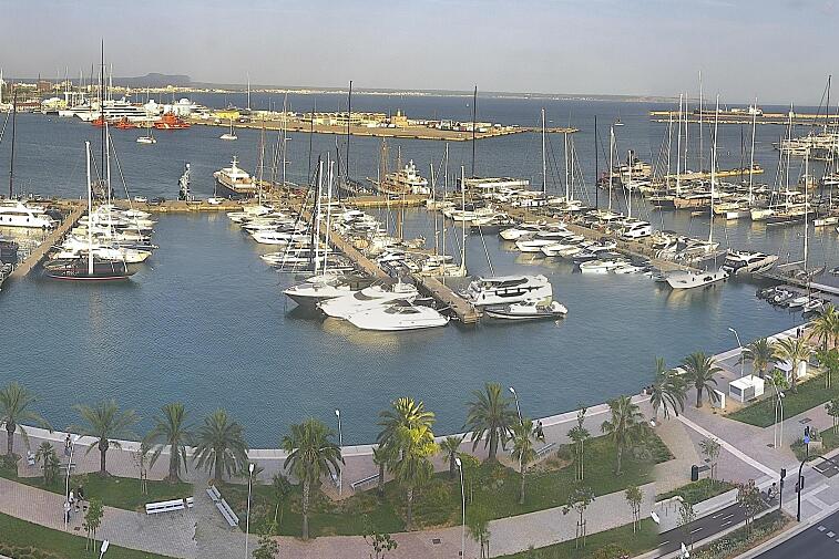 Webcam view of Palma de Mallorca marina, which caters to boats of all shapes and sizes. The cathedral La Seu can be seen in the distance. In the foreground is the Avinguda de Gabriel Roca.