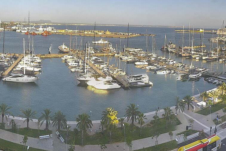 Webcam view of Palma de Mallorca marina, which caters to boats of all shapes and sizes. The cathedral La Seu can be seen in the distance. In the foreground is the Avinguda de Gabriel Roca.