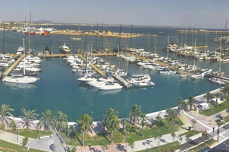 Webcam view of Palma de Mallorca marina, which caters to boats of all shapes and sizes. The cathedral La Seu can be seen in the distance. In the foreground is the Avinguda de Gabriel Roca.