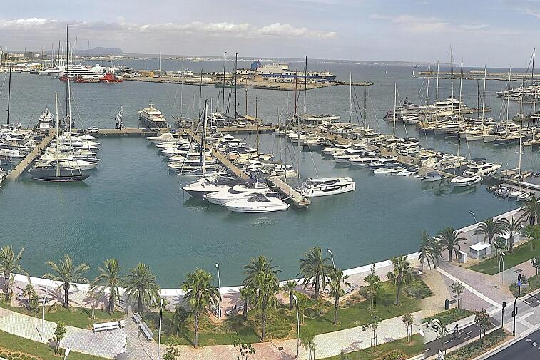Webcam view of Palma de Mallorca marina, which caters to boats of all shapes and sizes. The cathedral La Seu can be seen in the distance. In the foreground is the Avinguda de Gabriel Roca.