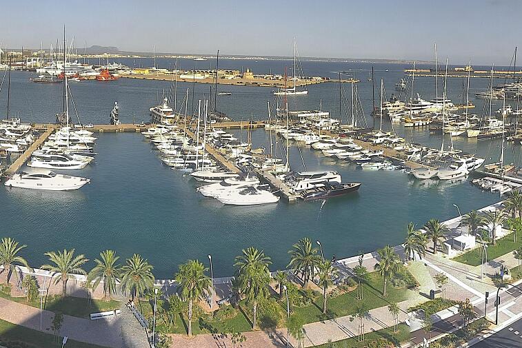 Webcam view of Palma de Mallorca marina, which caters to boats of all shapes and sizes. The cathedral La Seu can be seen in the distance. In the foreground is the Avinguda de Gabriel Roca.