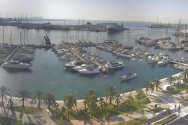 Webcam view of Palma de Mallorca marina, which caters to boats of all shapes and sizes. The cathedral La Seu can be seen in the distance. In the foreground is the Avinguda de Gabriel Roca.