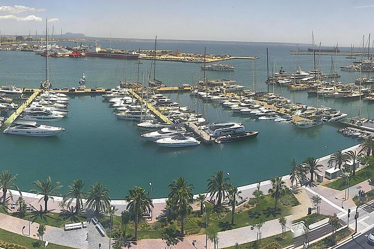 Webcam view of Palma de Mallorca marina, which caters to boats of all shapes and sizes. The cathedral La Seu can be seen in the distance. In the foreground is the Avinguda de Gabriel Roca.
