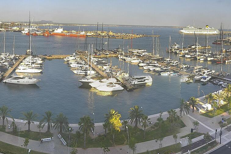 Webcam view of Palma de Mallorca marina, which caters to boats of all shapes and sizes. The cathedral La Seu can be seen in the distance. In the foreground is the Avinguda de Gabriel Roca.