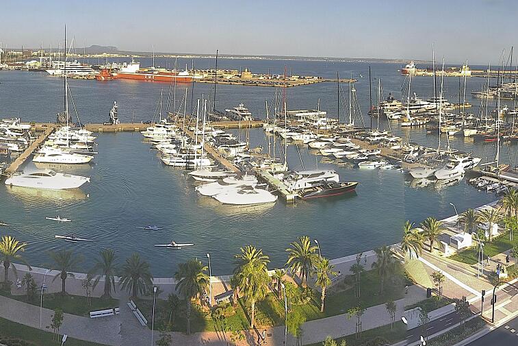 Webcam view of Palma de Mallorca marina, which caters to boats of all shapes and sizes. The cathedral La Seu can be seen in the distance. In the foreground is the Avinguda de Gabriel Roca.