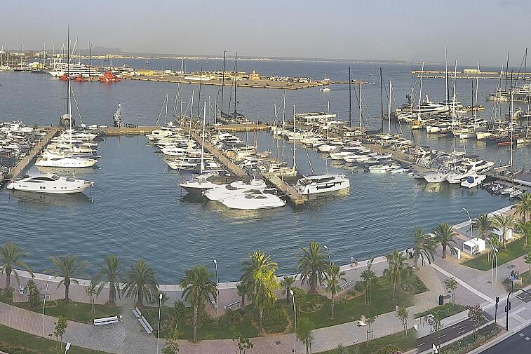 Webcam view of Palma de Mallorca marina, which caters to boats of all shapes and sizes. The cathedral La Seu can be seen in the distance. In the foreground is the Avinguda de Gabriel Roca.