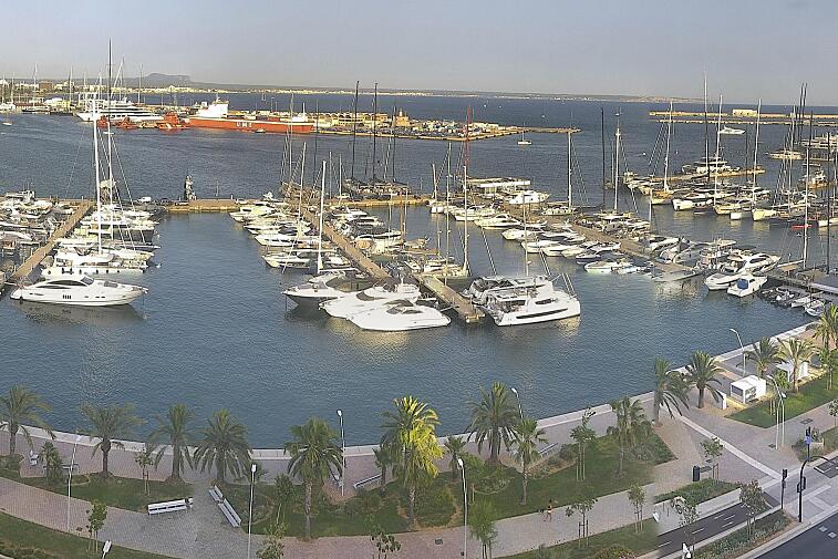 Webcam view of Palma de Mallorca marina, which caters to boats of all shapes and sizes. The cathedral La Seu can be seen in the distance. In the foreground is the Avinguda de Gabriel Roca.