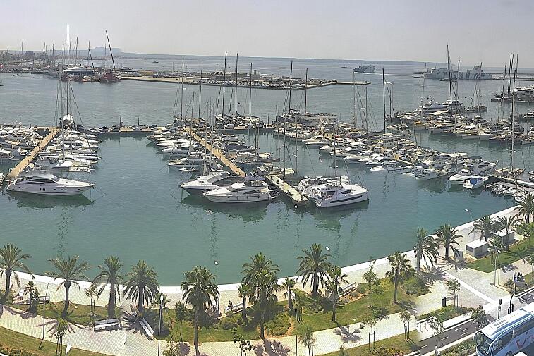 Webcam view of Palma de Mallorca marina, which caters to boats of all shapes and sizes. The cathedral La Seu can be seen in the distance. In the foreground is the Avinguda de Gabriel Roca.