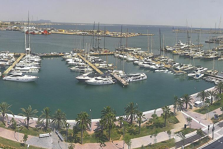 Webcam view of Palma de Mallorca marina, which caters to boats of all shapes and sizes. The cathedral La Seu can be seen in the distance. In the foreground is the Avinguda de Gabriel Roca.