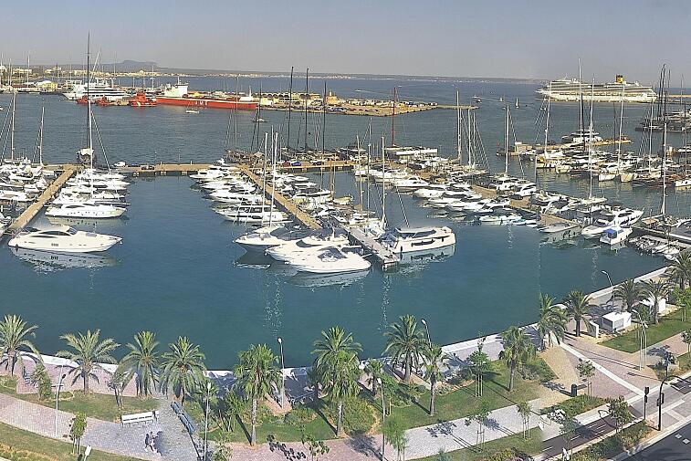 Webcam view of Palma de Mallorca marina, which caters to boats of all shapes and sizes. The cathedral La Seu can be seen in the distance. In the foreground is the Avinguda de Gabriel Roca.