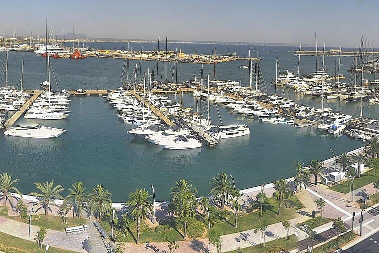 Webcam view of Palma de Mallorca marina, which caters to boats of all shapes and sizes. The cathedral La Seu can be seen in the distance. In the foreground is the Avinguda de Gabriel Roca.
