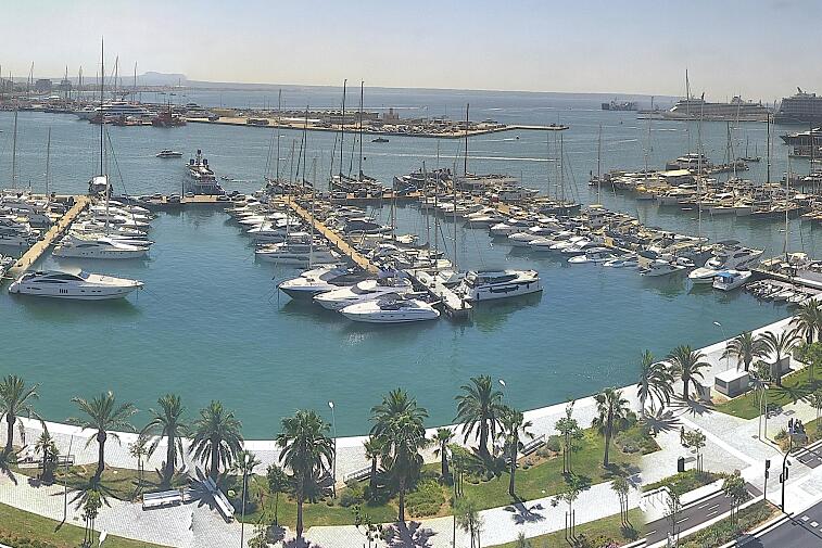 Webcam view of Palma de Mallorca marina, which caters to boats of all shapes and sizes. The cathedral La Seu can be seen in the distance. In the foreground is the Avinguda de Gabriel Roca.
