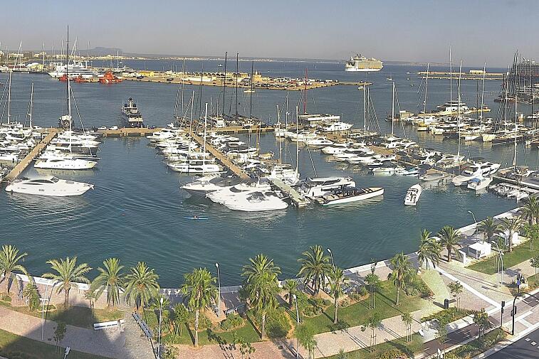 Webcam view of Palma de Mallorca marina, which caters to boats of all shapes and sizes. The cathedral La Seu can be seen in the distance. In the foreground is the Avinguda de Gabriel Roca.