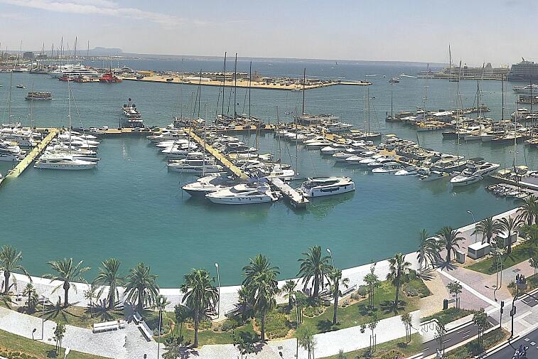 Webcam view of Palma de Mallorca marina, which caters to boats of all shapes and sizes. The cathedral La Seu can be seen in the distance. In the foreground is the Avinguda de Gabriel Roca.