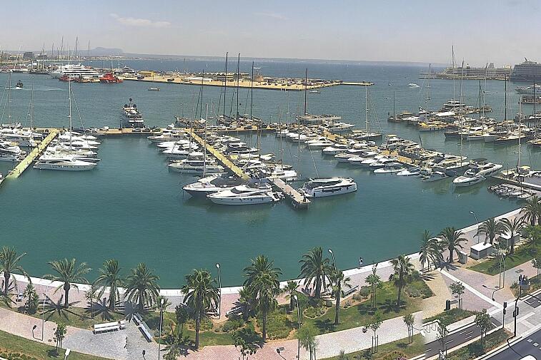 Webcam view of Palma de Mallorca marina, which caters to boats of all shapes and sizes. The cathedral La Seu can be seen in the distance. In the foreground is the Avinguda de Gabriel Roca.
