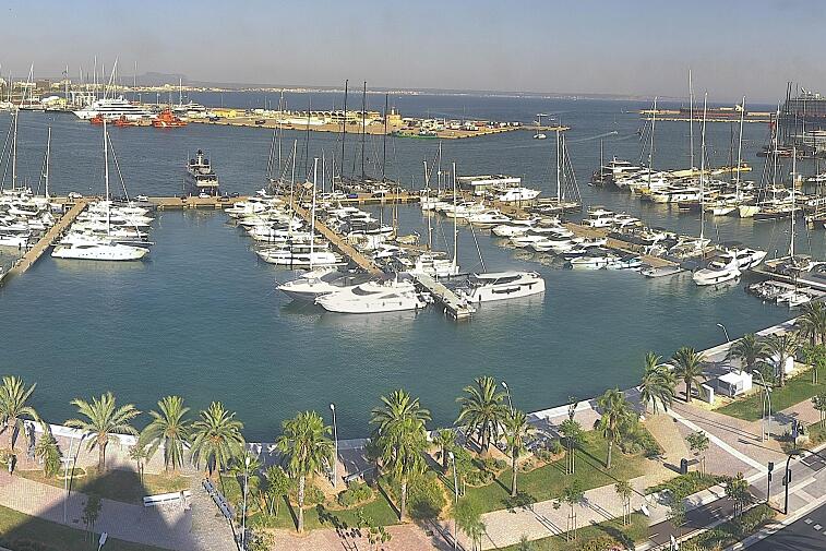 Webcam view of Palma de Mallorca marina, which caters to boats of all shapes and sizes. The cathedral La Seu can be seen in the distance. In the foreground is the Avinguda de Gabriel Roca.