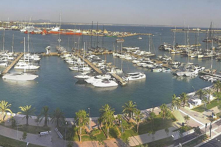Webcam view of Palma de Mallorca marina, which caters to boats of all shapes and sizes. The cathedral La Seu can be seen in the distance. In the foreground is the Avinguda de Gabriel Roca.
