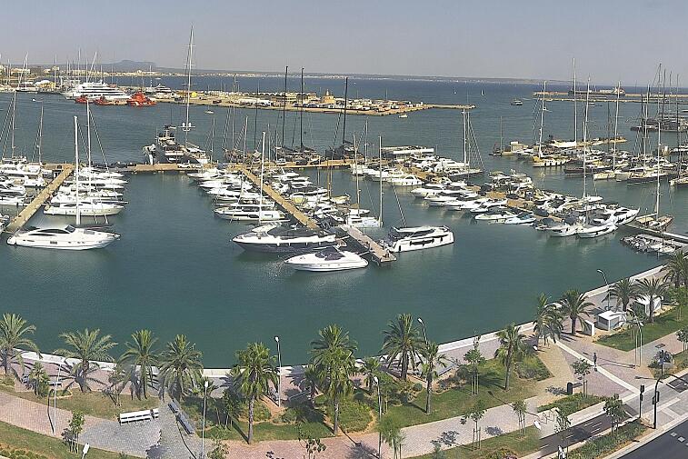 Webcam view of Palma de Mallorca marina, which caters to boats of all shapes and sizes. The cathedral La Seu can be seen in the distance. In the foreground is the Avinguda de Gabriel Roca.