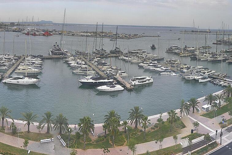 Webcam view of Palma de Mallorca marina, which caters to boats of all shapes and sizes. The cathedral La Seu can be seen in the distance. In the foreground is the Avinguda de Gabriel Roca.