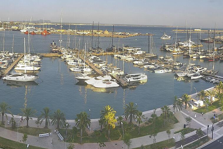 Webcam view of Palma de Mallorca marina, which caters to boats of all shapes and sizes. The cathedral La Seu can be seen in the distance. In the foreground is the Avinguda de Gabriel Roca.