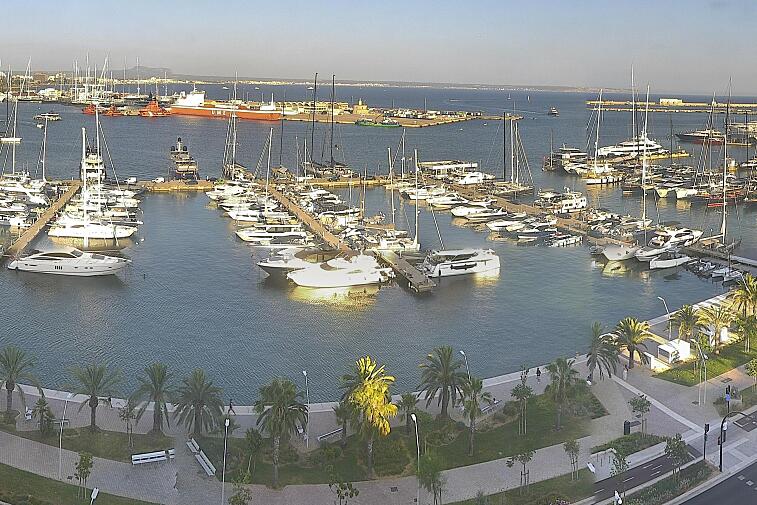 Webcam view of Palma de Mallorca marina, which caters to boats of all shapes and sizes. The cathedral La Seu can be seen in the distance. In the foreground is the Avinguda de Gabriel Roca.
