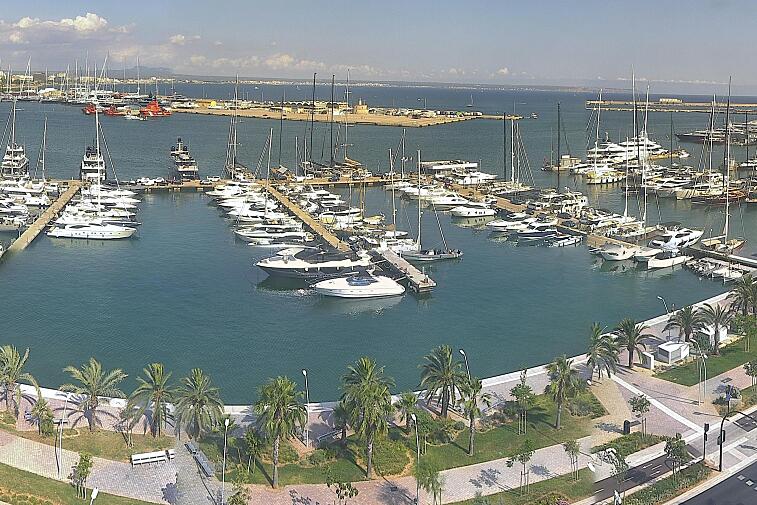 Webcam view of Palma de Mallorca marina, which caters to boats of all shapes and sizes. The cathedral La Seu can be seen in the distance. In the foreground is the Avinguda de Gabriel Roca.