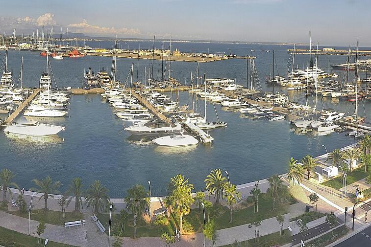 Webcam view of Palma de Mallorca marina, which caters to boats of all shapes and sizes. The cathedral La Seu can be seen in the distance. In the foreground is the Avinguda de Gabriel Roca.