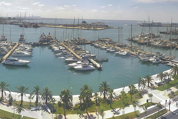 Webcam view of Palma de Mallorca marina, which caters to boats of all shapes and sizes. The cathedral La Seu can be seen in the distance. In the foreground is the Avinguda de Gabriel Roca.
