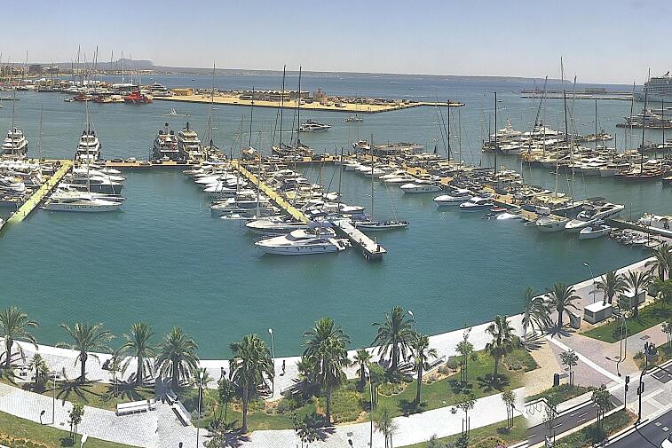 Webcam view of Palma de Mallorca marina, which caters to boats of all shapes and sizes. The cathedral La Seu can be seen in the distance. In the foreground is the Avinguda de Gabriel Roca.