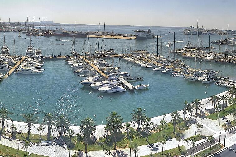 Webcam view of Palma de Mallorca marina, which caters to boats of all shapes and sizes. The cathedral La Seu can be seen in the distance. In the foreground is the Avinguda de Gabriel Roca.