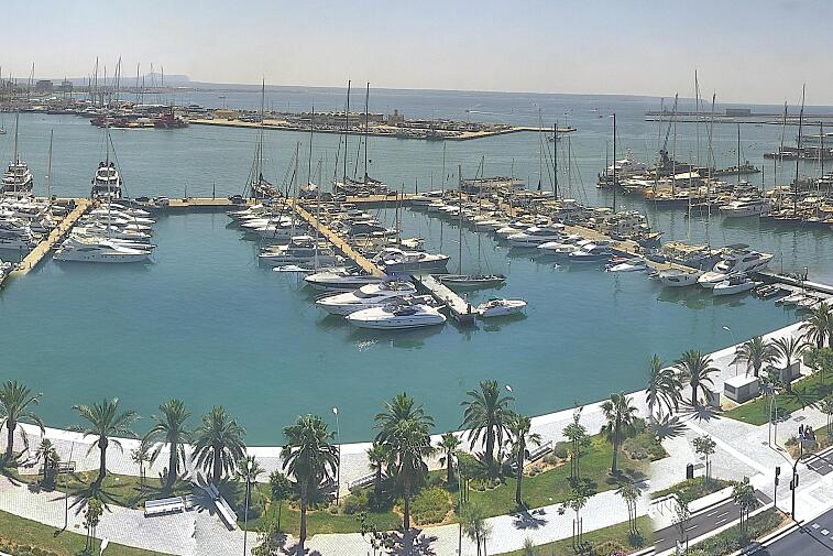Webcam view of Palma de Mallorca marina, which caters to boats of all shapes and sizes. The cathedral La Seu can be seen in the distance. In the foreground is the Avinguda de Gabriel Roca.