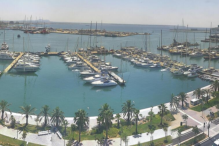 Webcam view of Palma de Mallorca marina, which caters to boats of all shapes and sizes. The cathedral La Seu can be seen in the distance. In the foreground is the Avinguda de Gabriel Roca.