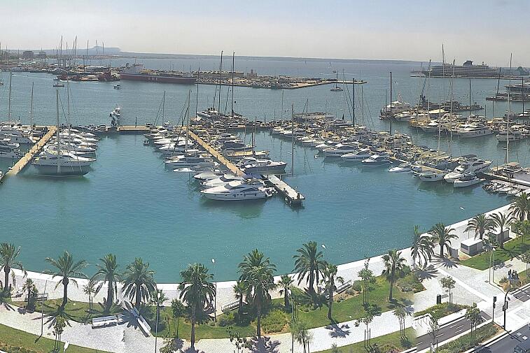 Webcam view of Palma de Mallorca marina, which caters to boats of all shapes and sizes. The cathedral La Seu can be seen in the distance. In the foreground is the Avinguda de Gabriel Roca.