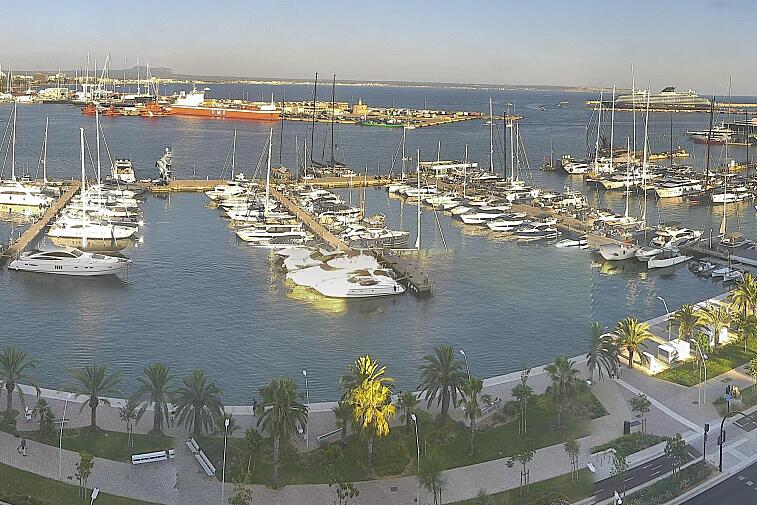 Webcam view of Palma de Mallorca marina, which caters to boats of all shapes and sizes. The cathedral La Seu can be seen in the distance. In the foreground is the Avinguda de Gabriel Roca.