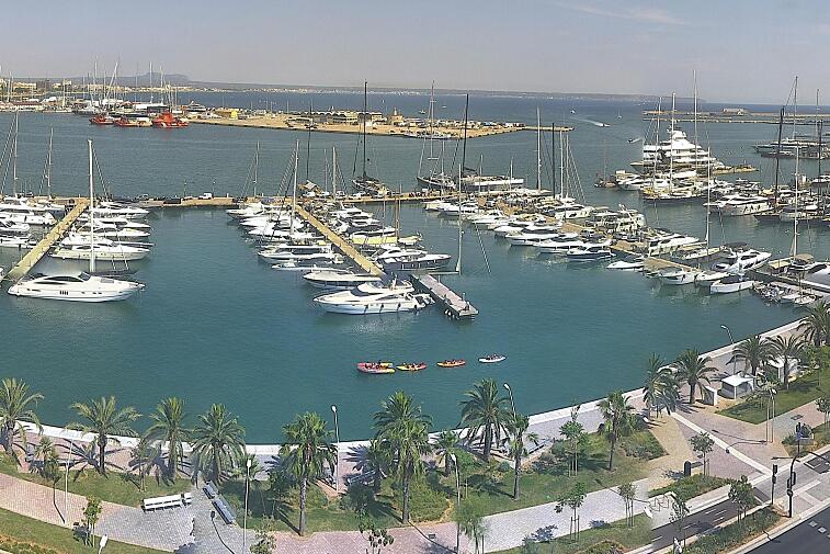 Webcam view of Palma de Mallorca marina, which caters to boats of all shapes and sizes. The cathedral La Seu can be seen in the distance. In the foreground is the Avinguda de Gabriel Roca.