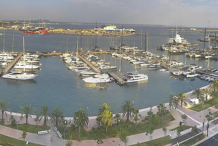 Webcam view of Palma de Mallorca marina, which caters to boats of all shapes and sizes. The cathedral La Seu can be seen in the distance. In the foreground is the Avinguda de Gabriel Roca.