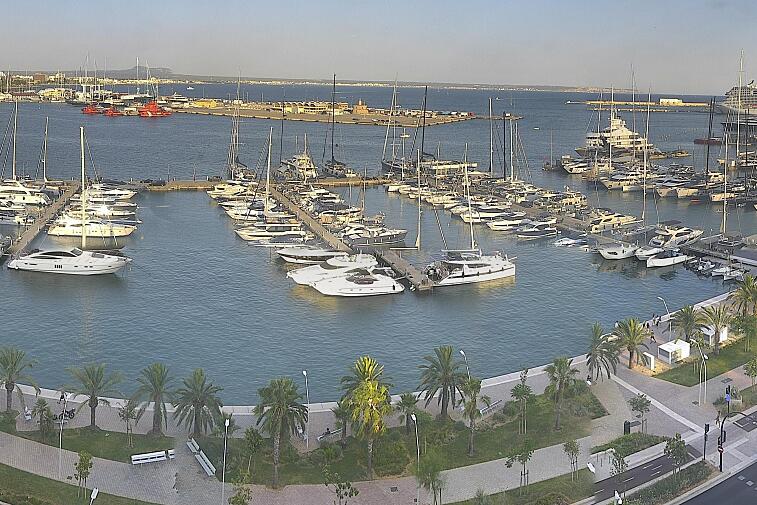 Webcam view of Palma de Mallorca marina, which caters to boats of all shapes and sizes. The cathedral La Seu can be seen in the distance. In the foreground is the Avinguda de Gabriel Roca.