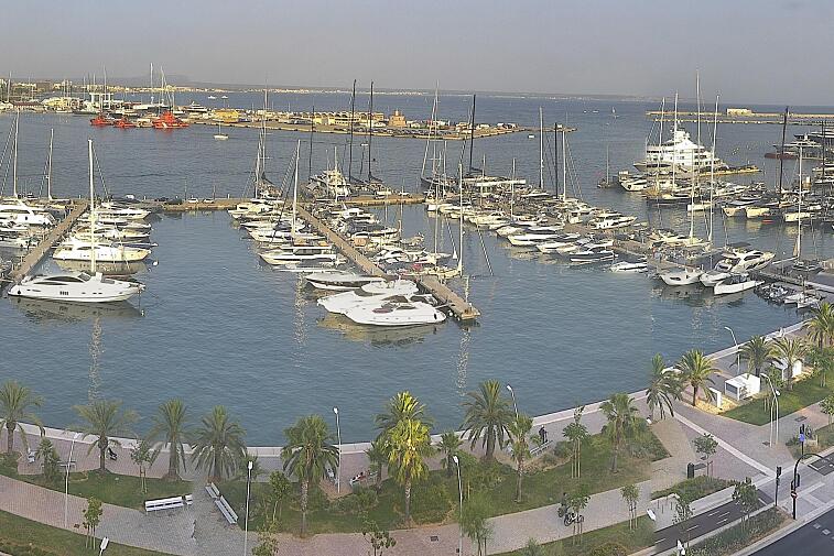 Webcam view of Palma de Mallorca marina, which caters to boats of all shapes and sizes. The cathedral La Seu can be seen in the distance. In the foreground is the Avinguda de Gabriel Roca.
