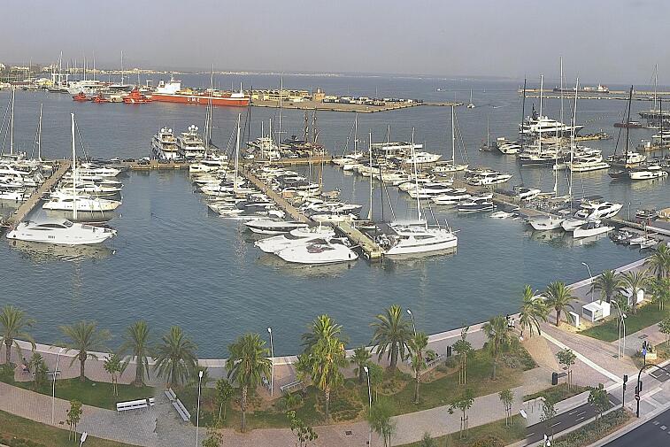 Webcam view of Palma de Mallorca marina, which caters to boats of all shapes and sizes. The cathedral La Seu can be seen in the distance. In the foreground is the Avinguda de Gabriel Roca.