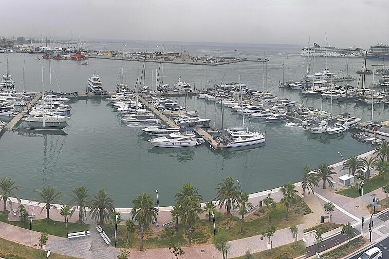 Webcam view of Palma de Mallorca marina, which caters to boats of all shapes and sizes. The cathedral La Seu can be seen in the distance. In the foreground is the Avinguda de Gabriel Roca.
