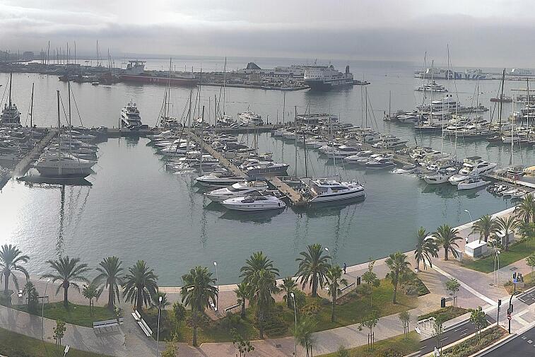 Webcam view of Palma de Mallorca marina, which caters to boats of all shapes and sizes. The cathedral La Seu can be seen in the distance. In the foreground is the Avinguda de Gabriel Roca.