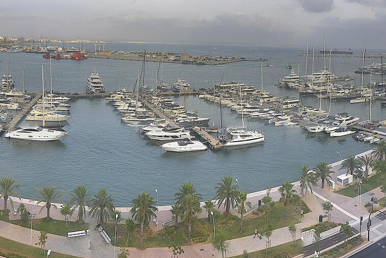 Webcam view of Palma de Mallorca marina, which caters to boats of all shapes and sizes. The cathedral La Seu can be seen in the distance. In the foreground is the Avinguda de Gabriel Roca.