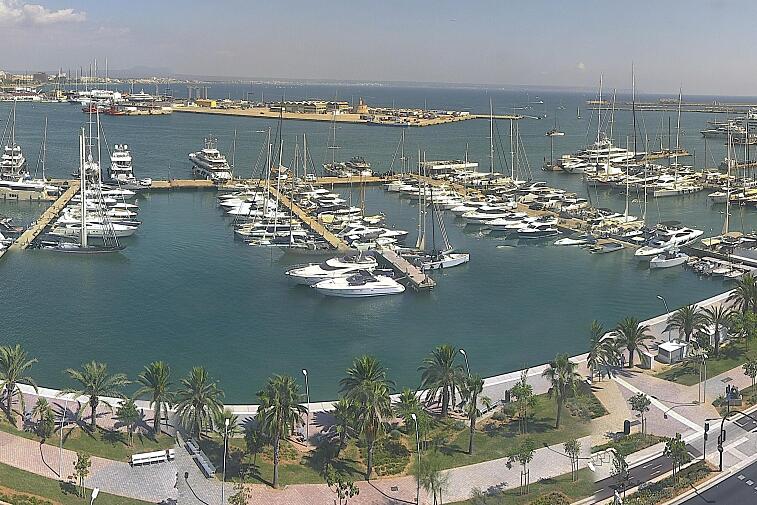 Webcam view of Palma de Mallorca marina, which caters to boats of all shapes and sizes. The cathedral La Seu can be seen in the distance. In the foreground is the Avinguda de Gabriel Roca.