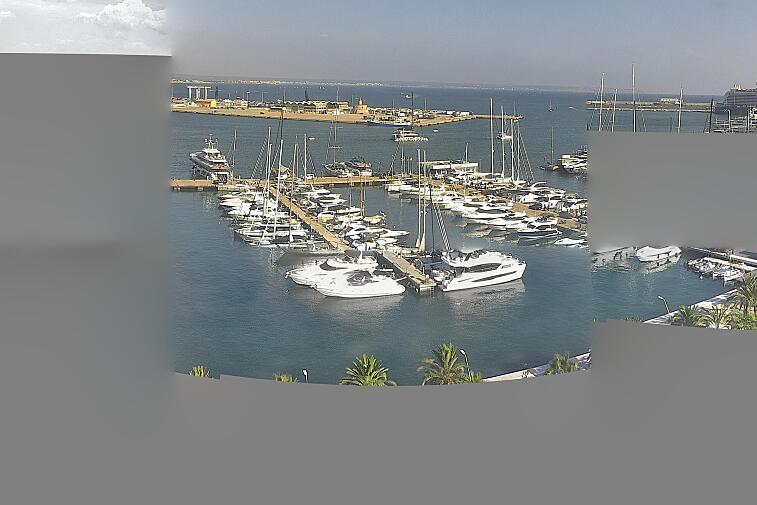 Webcam view of Palma de Mallorca marina, which caters to boats of all shapes and sizes. The cathedral La Seu can be seen in the distance. In the foreground is the Avinguda de Gabriel Roca.