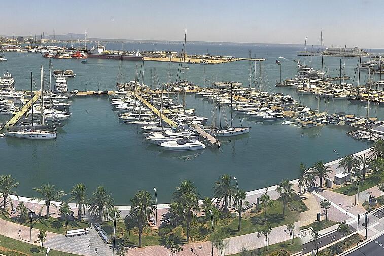 Webcam view of Palma de Mallorca marina, which caters to boats of all shapes and sizes. The cathedral La Seu can be seen in the distance. In the foreground is the Avinguda de Gabriel Roca.