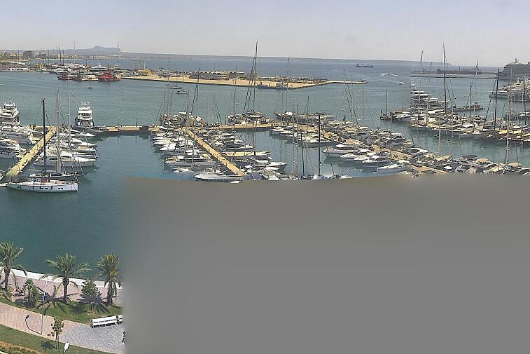 Webcam view of Palma de Mallorca marina, which caters to boats of all shapes and sizes. The cathedral La Seu can be seen in the distance. In the foreground is the Avinguda de Gabriel Roca.