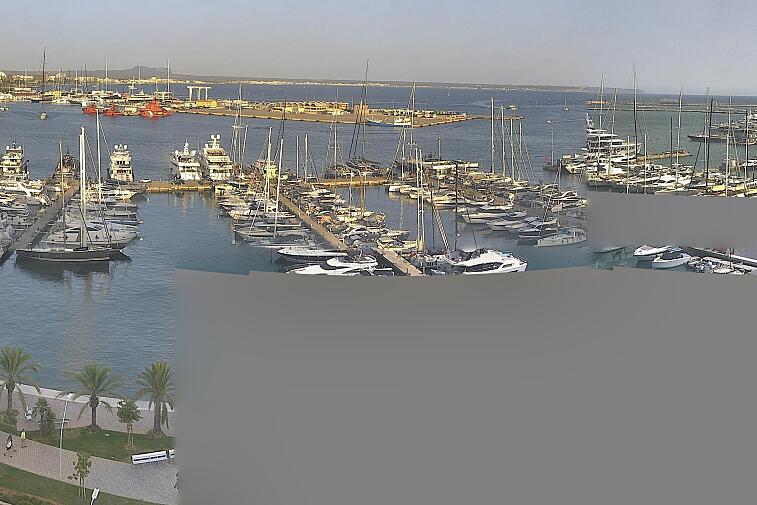 Webcam view of Palma de Mallorca marina, which caters to boats of all shapes and sizes. The cathedral La Seu can be seen in the distance. In the foreground is the Avinguda de Gabriel Roca.